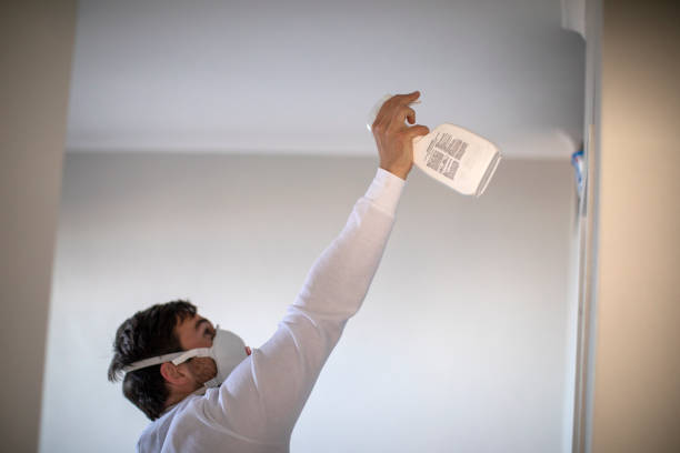 Best Black Mold Removal  in Avondale, LA