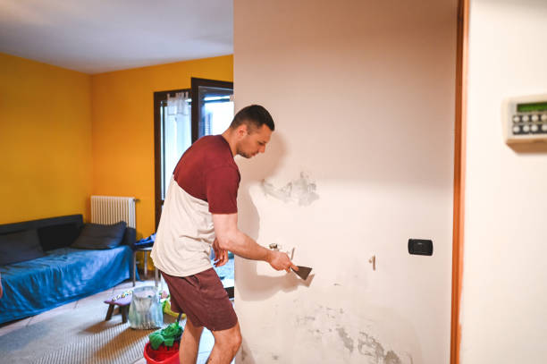 Best Black Mold Removal  in Avondale, LA
